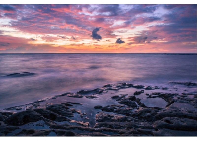 วอลเปเปอร์สั่งผลิตลายธรรมชาติ